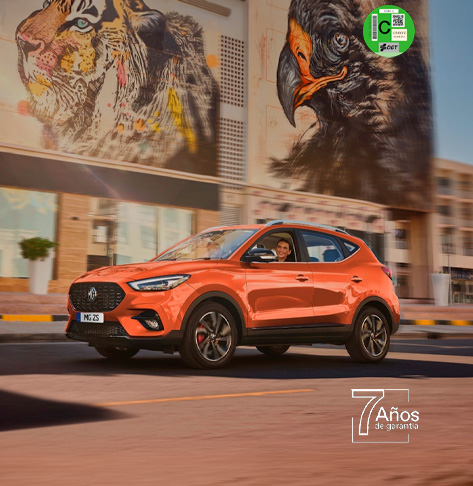 MG ZS