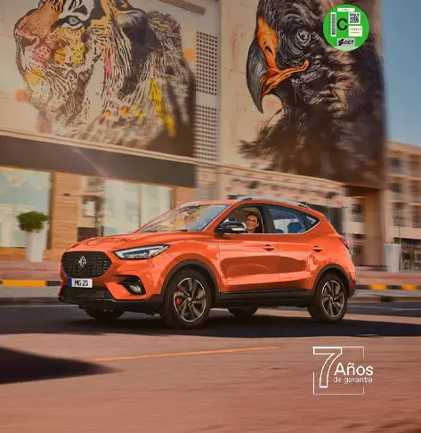 MG ZS