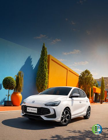 MG3 Business