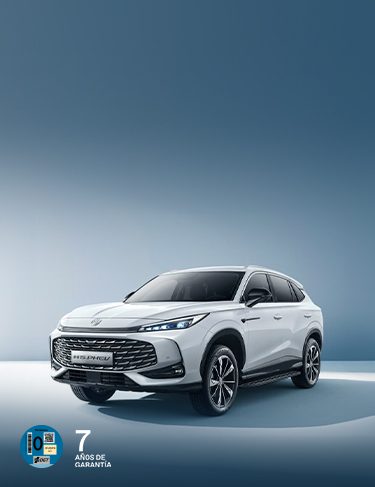 MG HS Híbrido Etiqueta 0